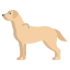 Labrador Retriever icon