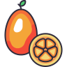 Kumquat icon