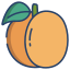 Apricot icon