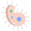 Viruses icon