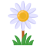 Daisy icon