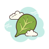 Spinach icon