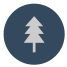 Fir Tree icon