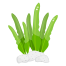 Algae icon