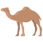 Camel icon