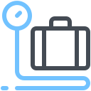 Baggage Weight icon