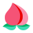 中国桃子 icon