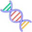 DNA icon