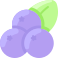 Blueberry icon