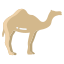 Camel icon