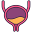 Bladder icon