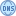 DNS icon