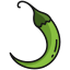 Green Chili Pepper icon