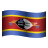 Eswatini icon