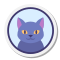 猫简介 icon