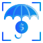 Money Protection icon