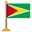 Guyana Flag icon