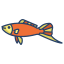 Swordtail Fish icon