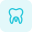 Molar teeth isolated on a white background icon