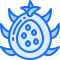 Dragonfruit icon