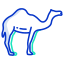 Camel icon