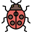 Ladybug icon