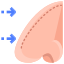 Rhinoplasty icon