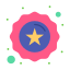 Badge icon