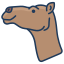 Camel icon