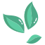 Coca Leaves icon