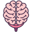 Brain icon