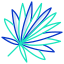 Cabbage Palmetto Leaf icon