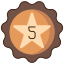 5 Stars icon