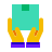 Holding Box icon