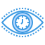 Vision icon