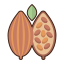 Cacao icon