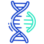 DNA icon