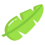 Banana Leaf icon