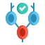 Lymph Nodes icon