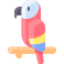 Macaw icon