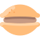 Dorayaki icon