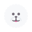 Bichon icon