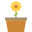 Blossom icon