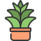 Agave icon