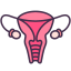 Ovary icon