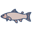 Salmon Fish icon