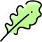 Arugula icon