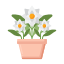 Gardenia icon