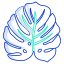 Monstera icon