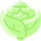 Romanesco Broccoli icon